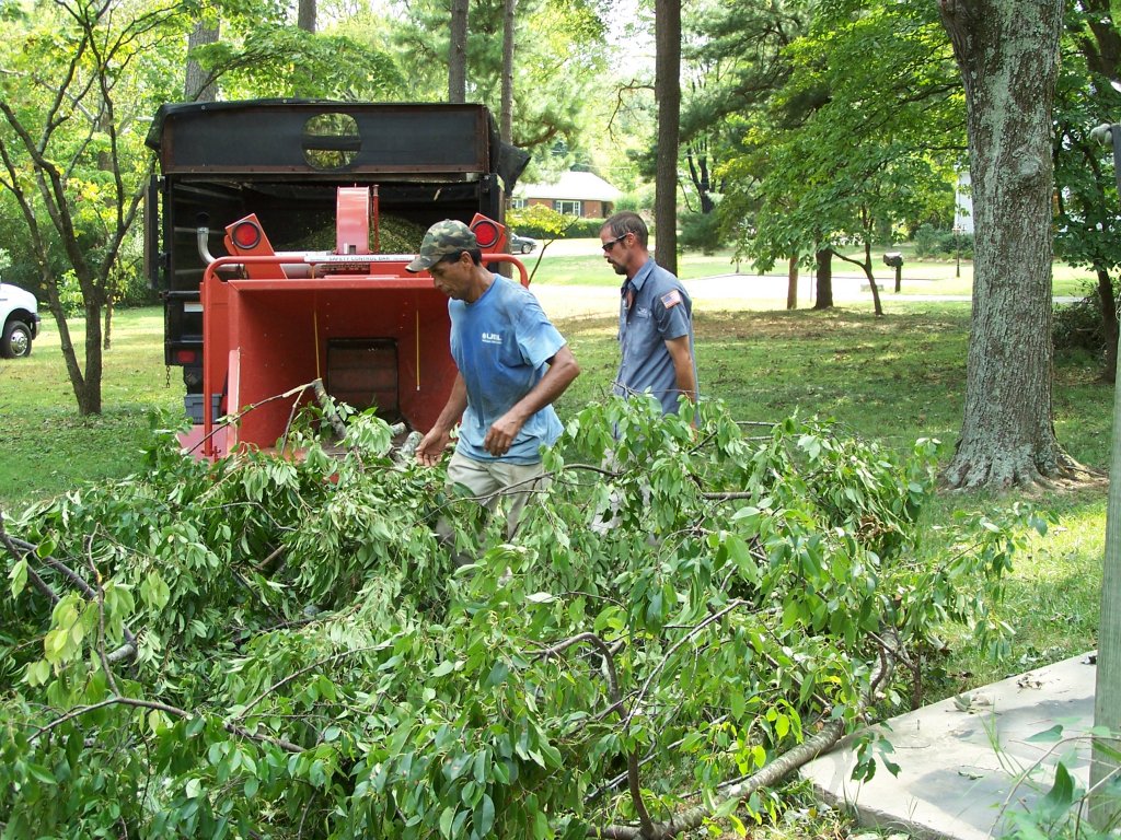 Landscape Service | removing broken tree branches