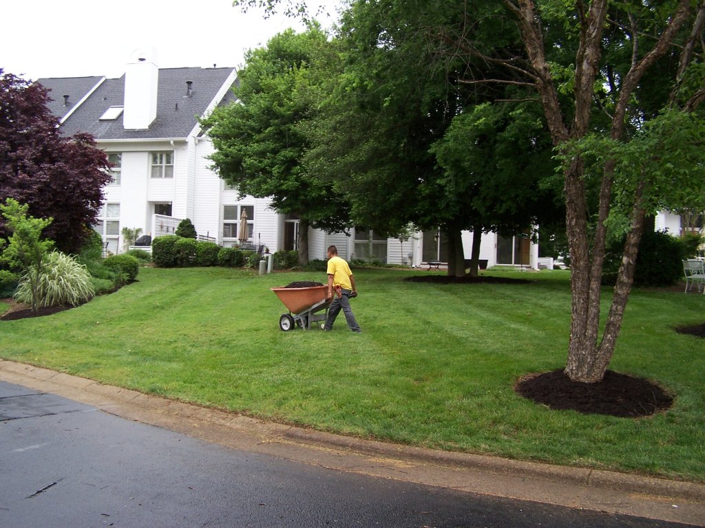 Landscape Service | landscaper working on yard 