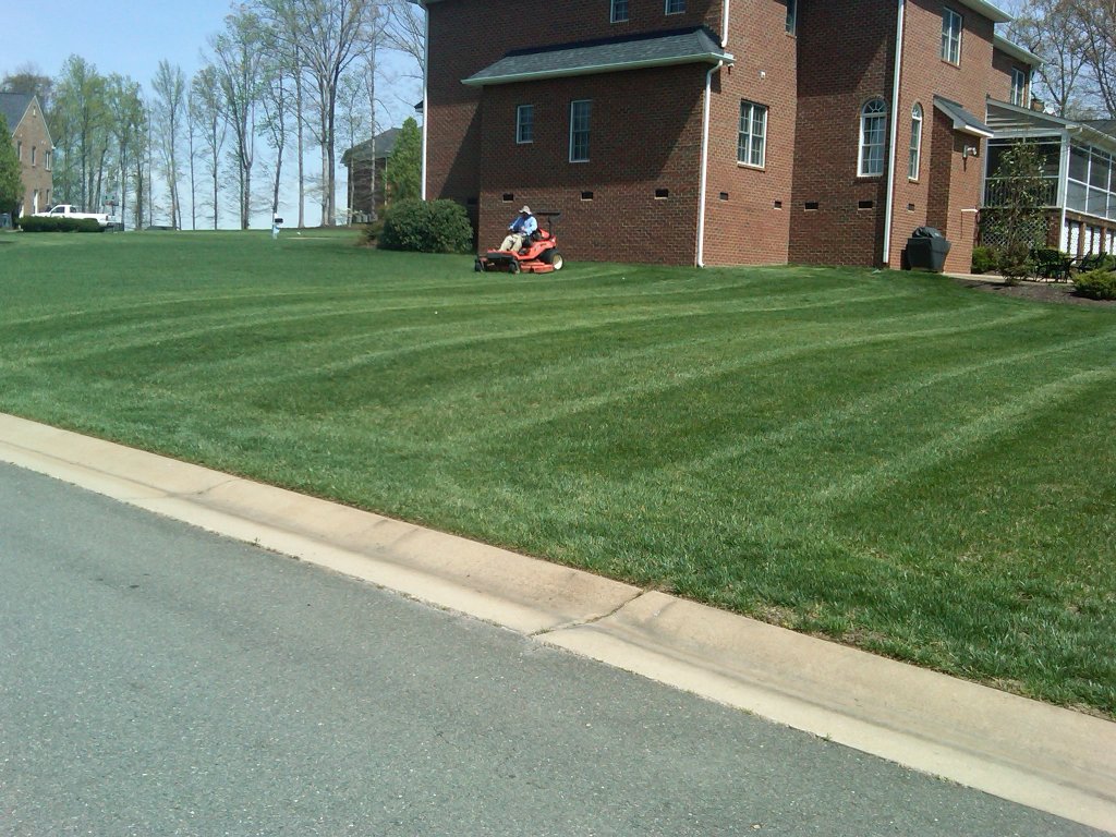 Lawn Maintenance | Mowing grass
