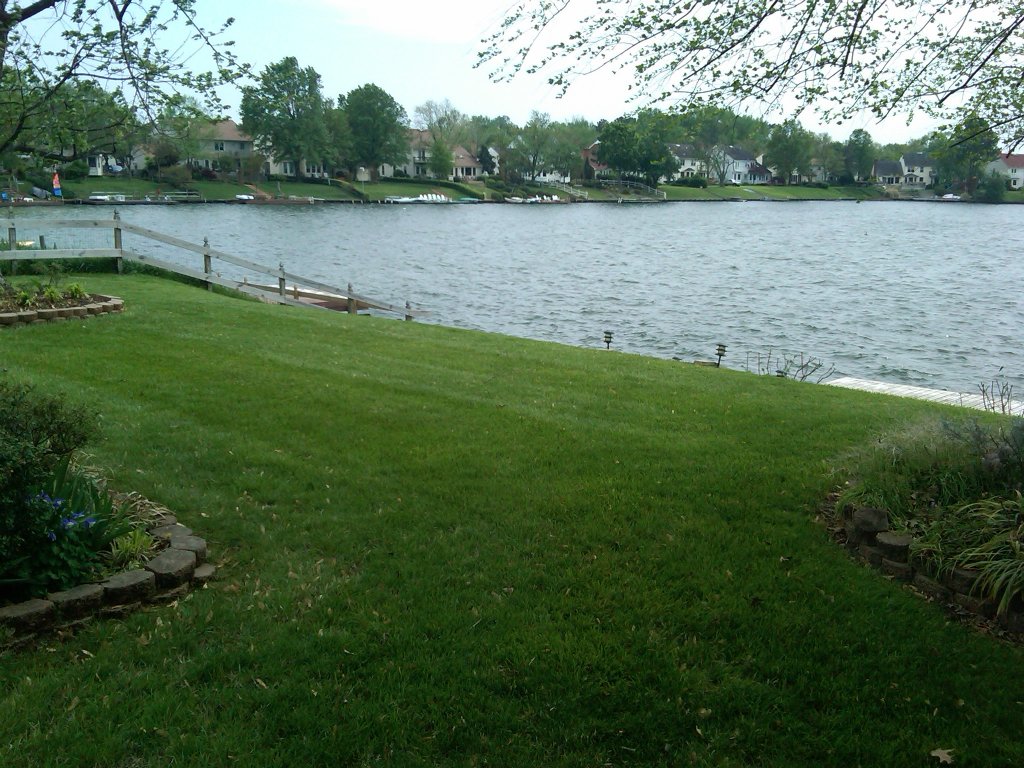 Lawn Maintenance | green grass by lake
